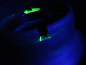Indications - Forging Fatigue Defects