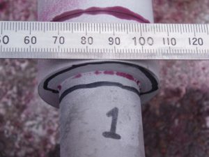 Indications - Forging Fatigue Defects