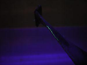 Indications - Forging Fatigue Defects